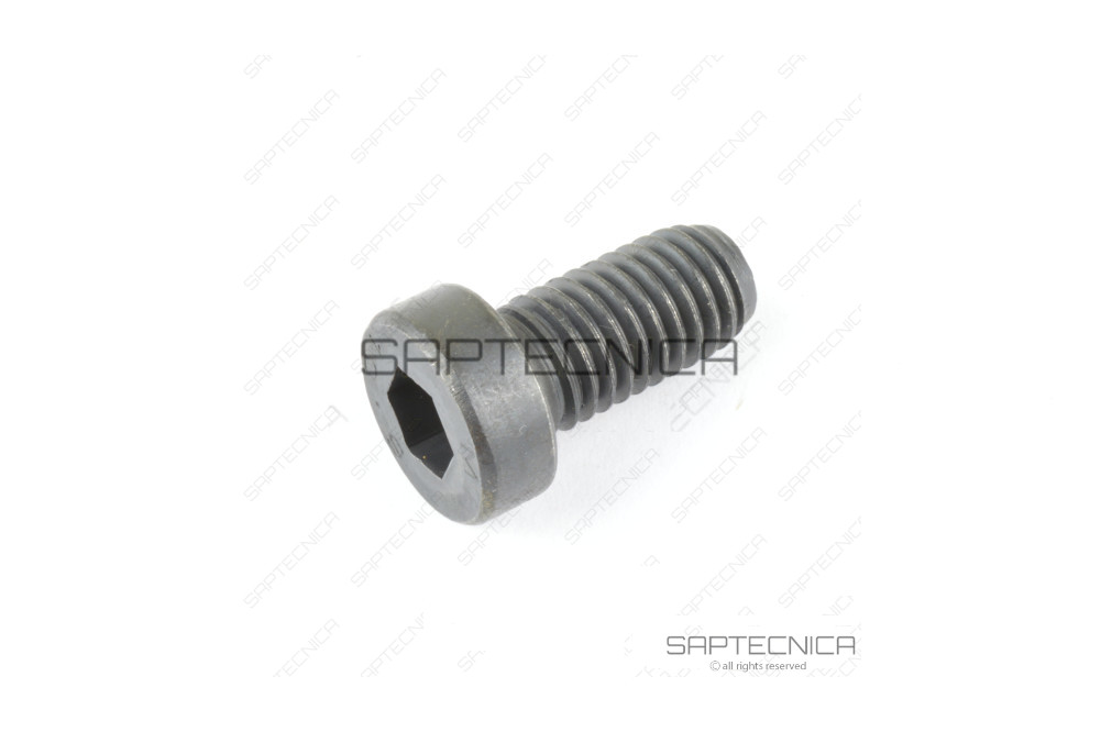 CNH - 87681823 - VITE