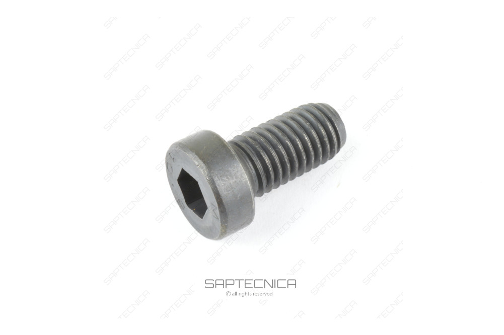 CNH - 87681823 - VITE