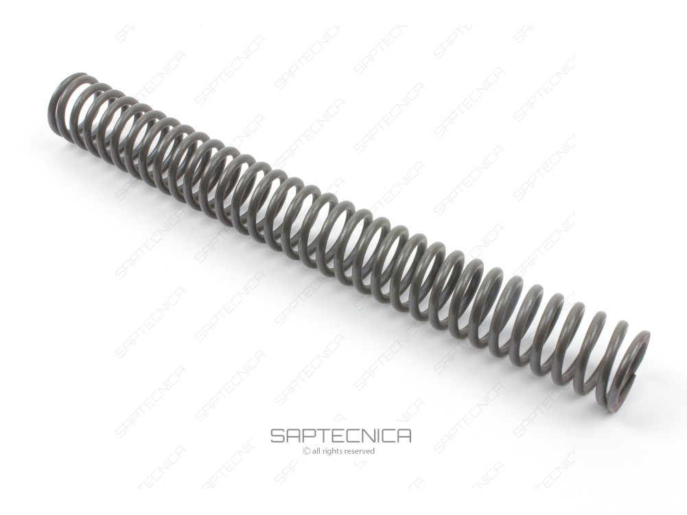 FOREMOST - 06-20-267384 - SPRING