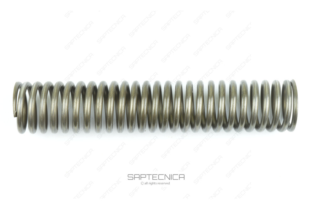 FOREMOST - 06-20-267384 - SPRING