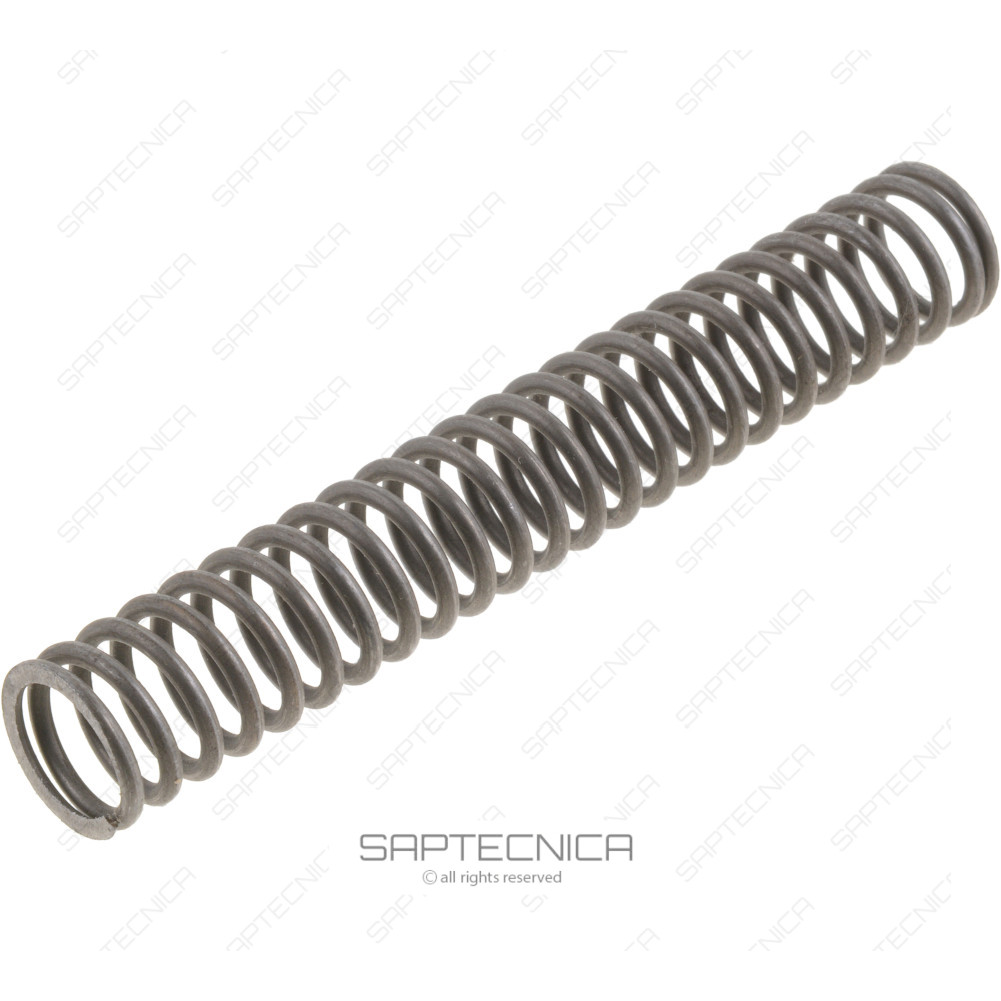 FOREMOST - 06-20-267681 - SPRING