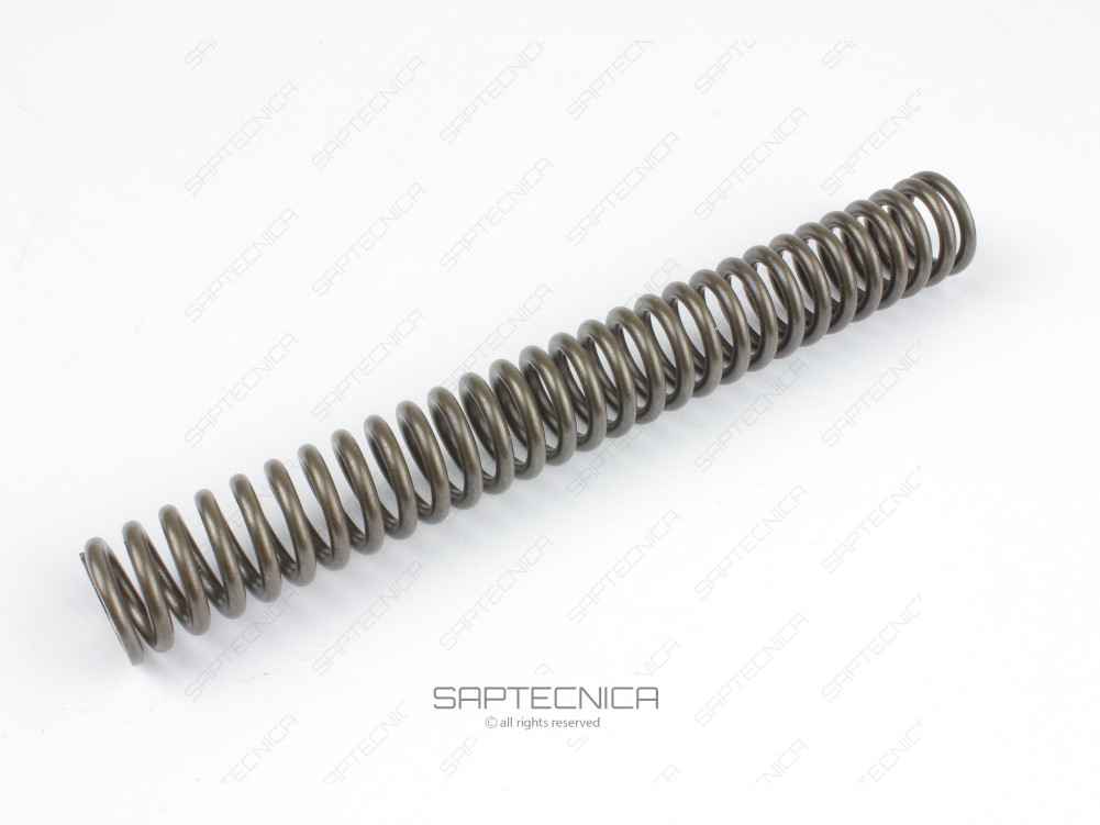 FOREMOST - 06-20-267683 - SPRING