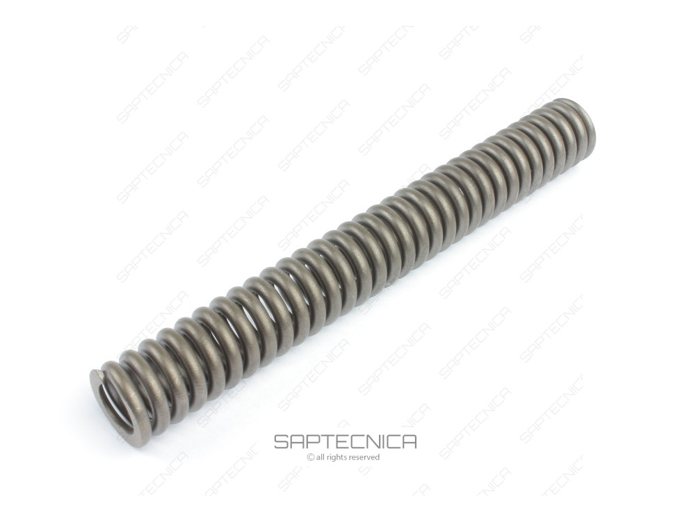 FOREMOST - 06-20-276044 - SPRING-INNER