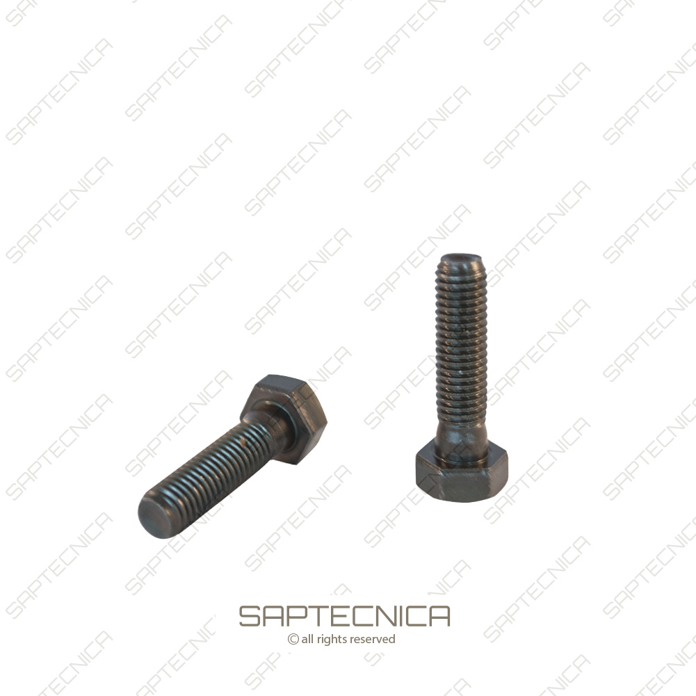 GENIE - TEREX - 707.110.041 - VITE