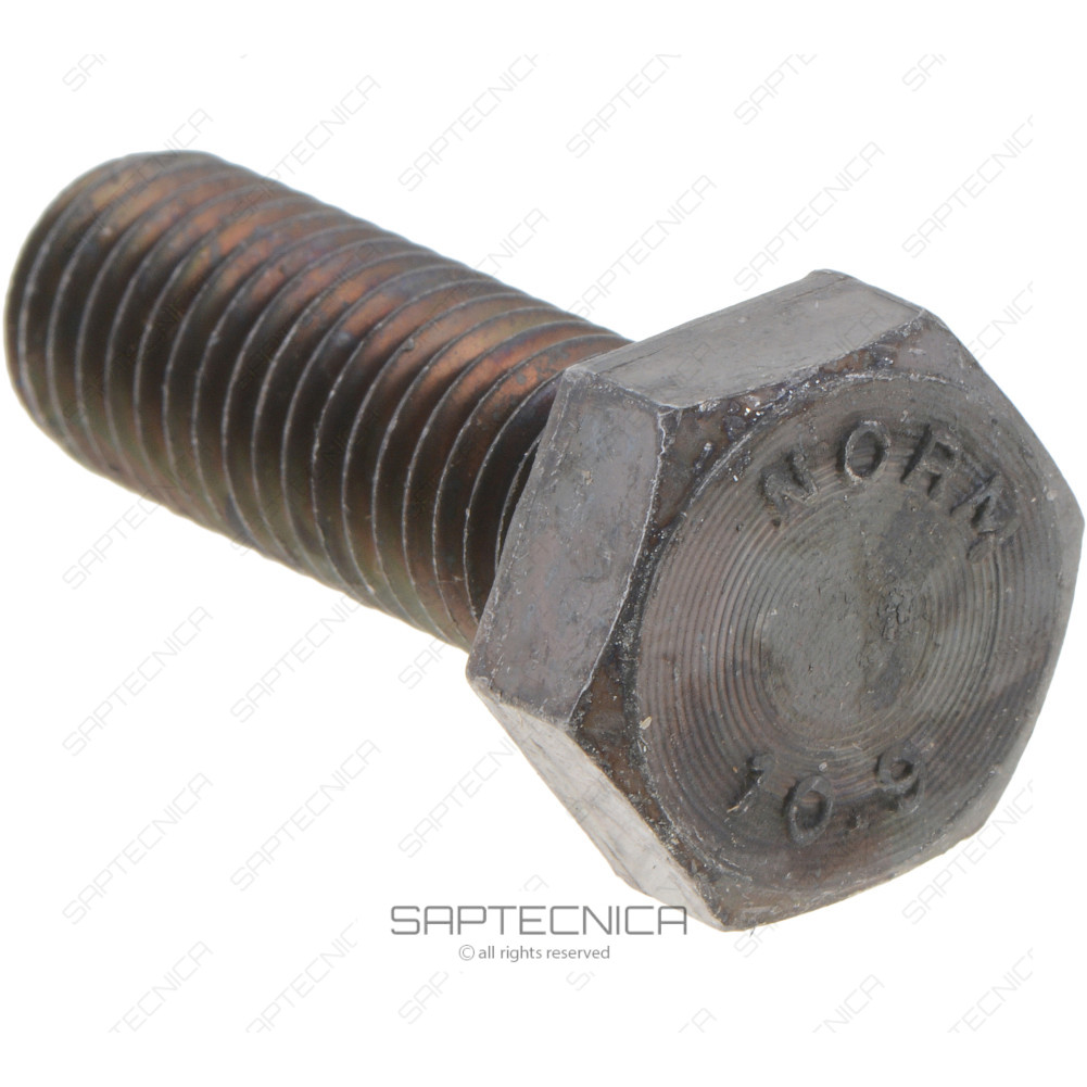 RENAULT - 6005026098 - SCREW