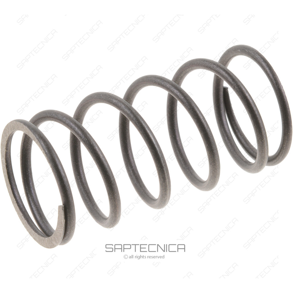 TAYLOR MACHINE WORKS - 4517483 - SPRING PISTON