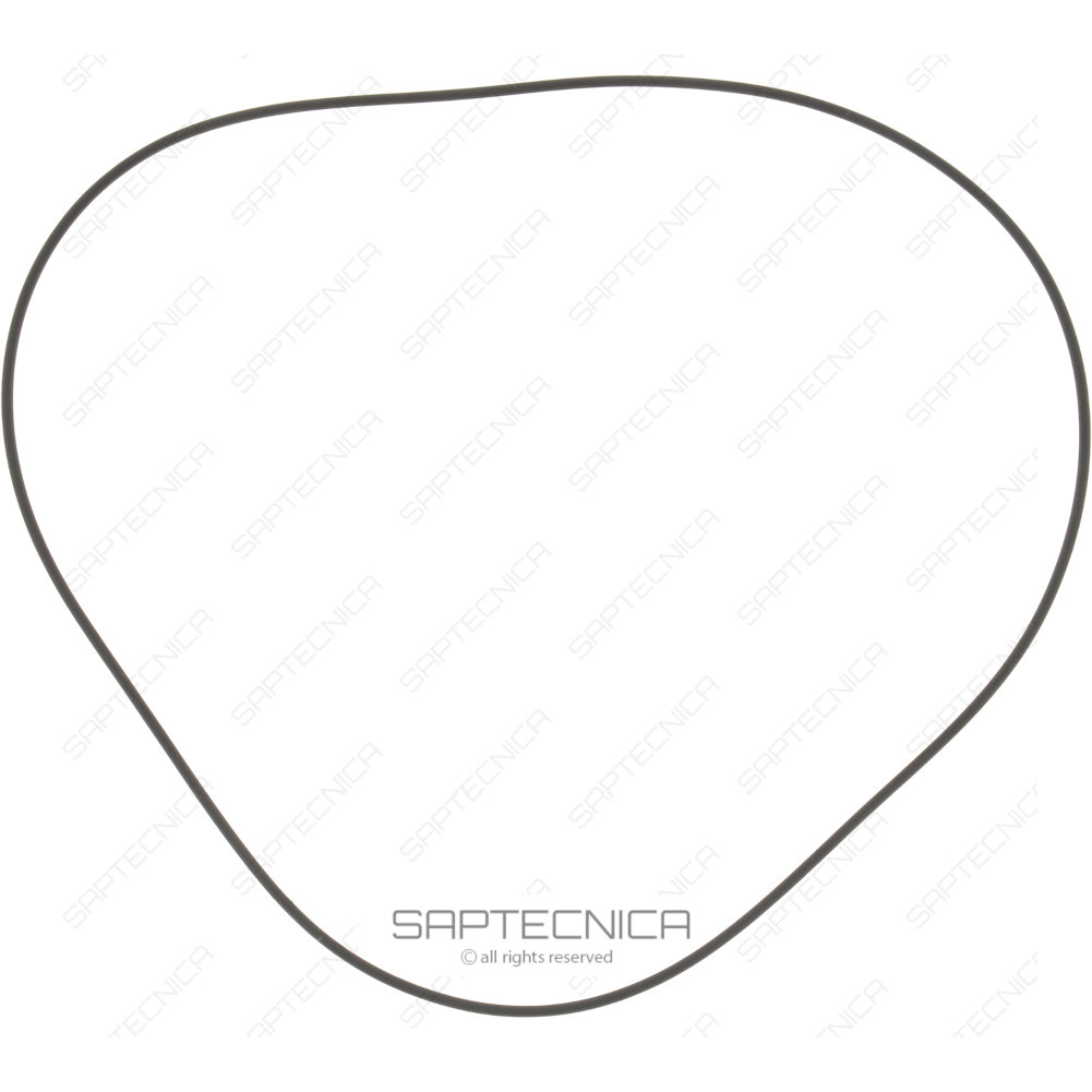 TEREX - 7-229-520 - ANELLO OR